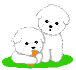 puppys
