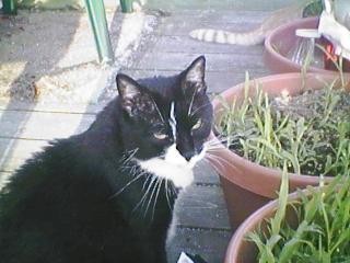 Lady looking quizzical on the Porch