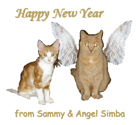 Sammy & Angel Simba