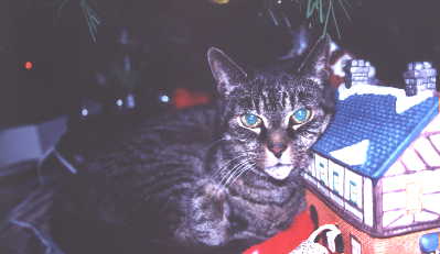 Jenny