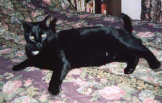 Nicholas